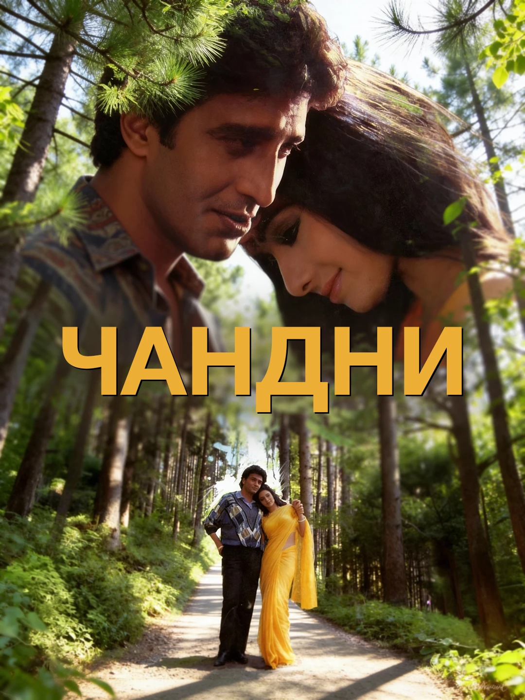 Чандни poster