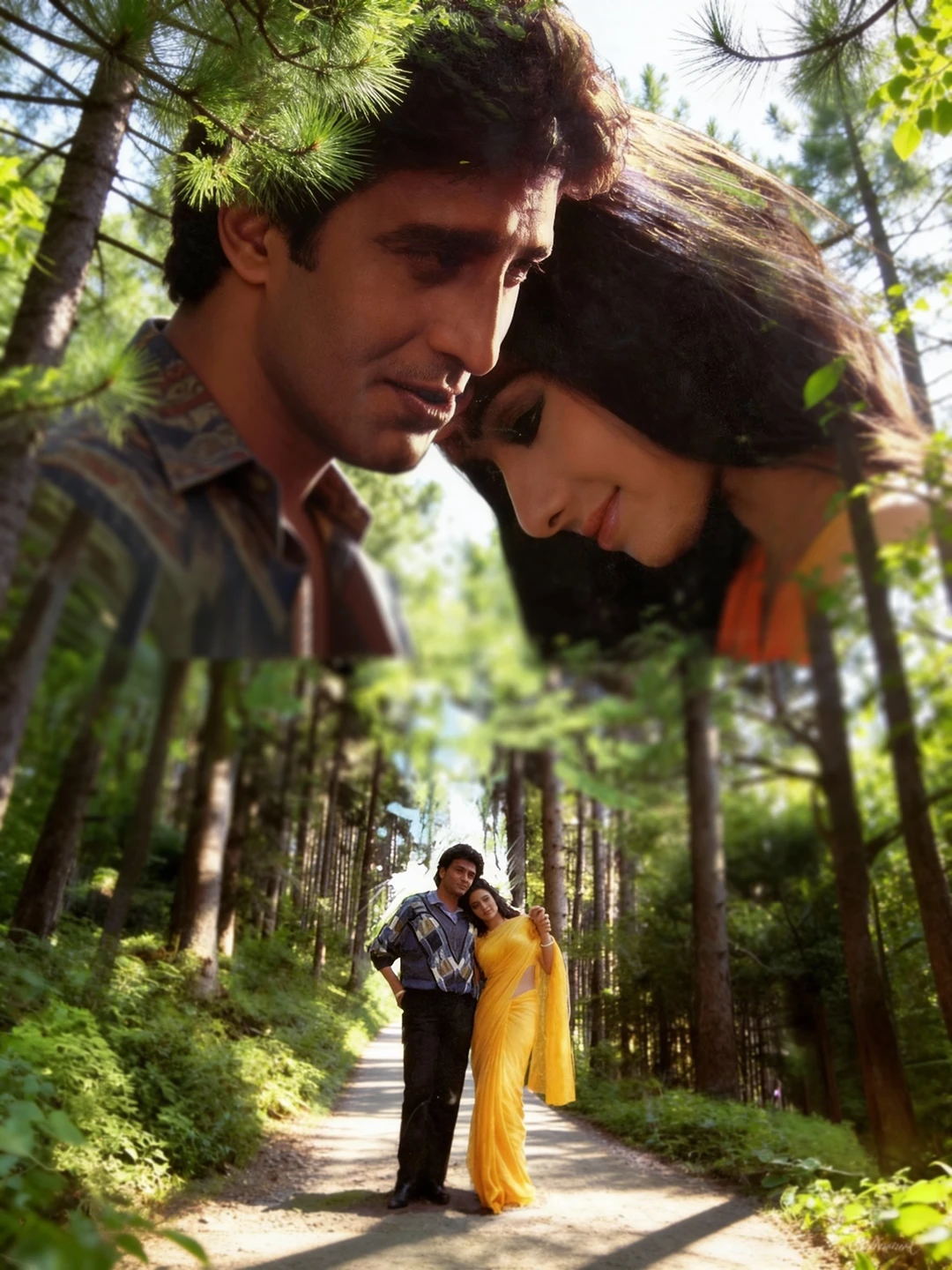 Chandni - vertikal poster