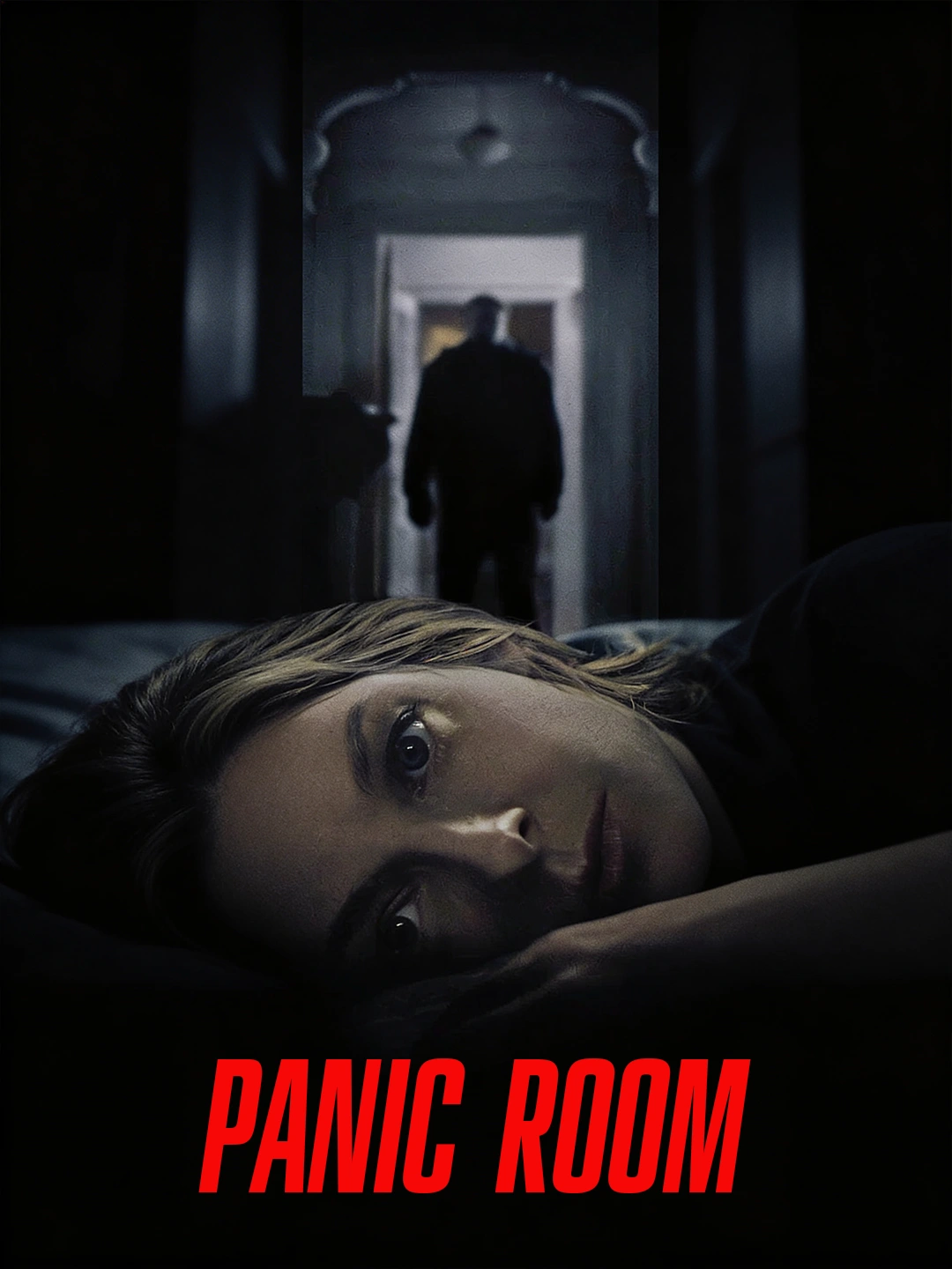 Panic Room poster