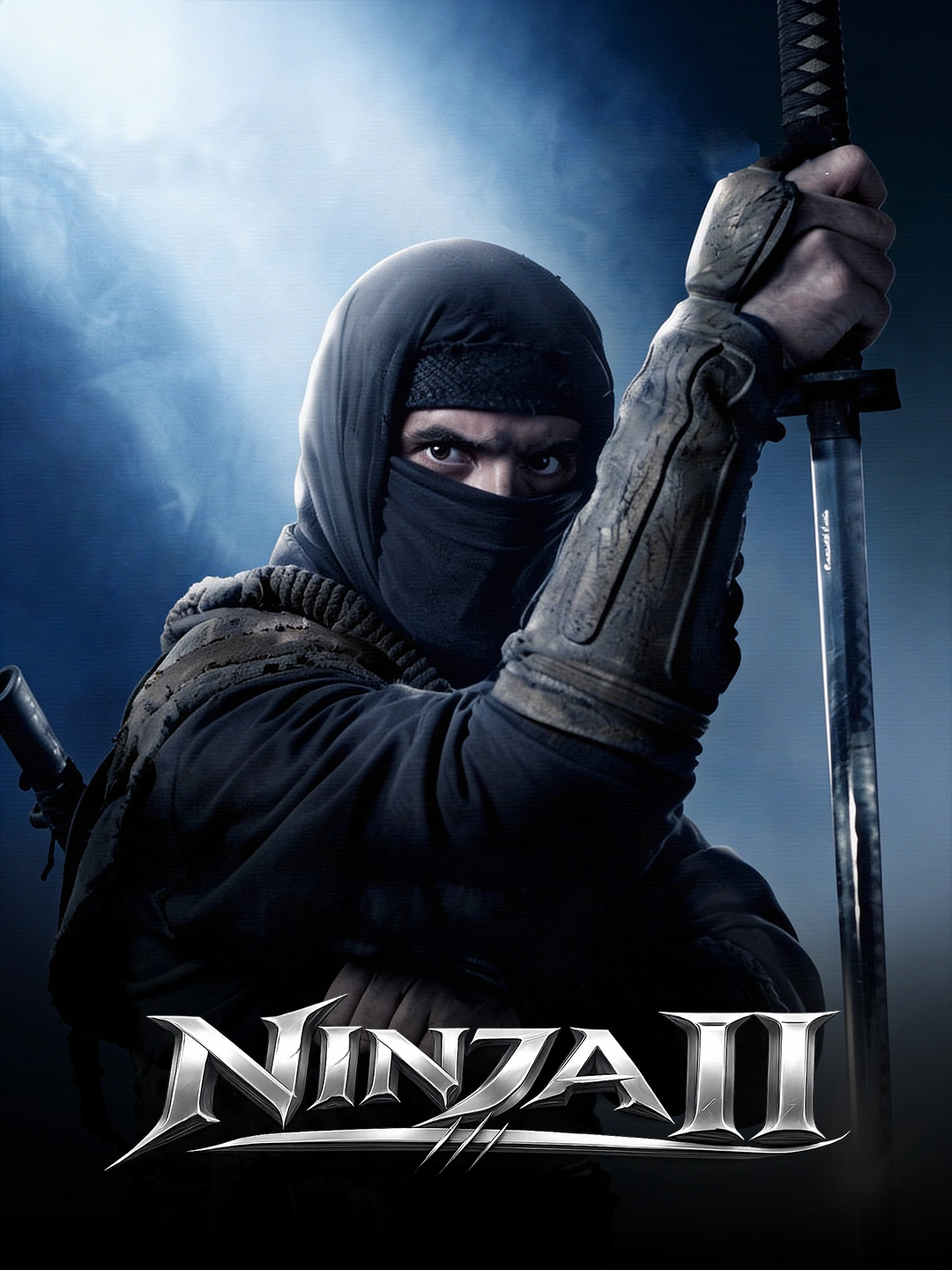 Ninja 2 poster