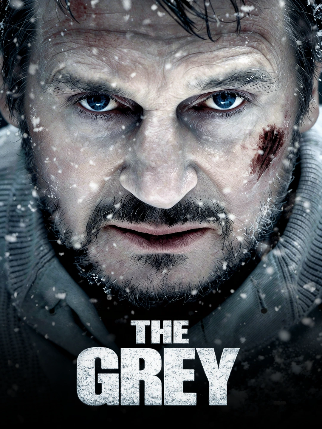 The Grey poster