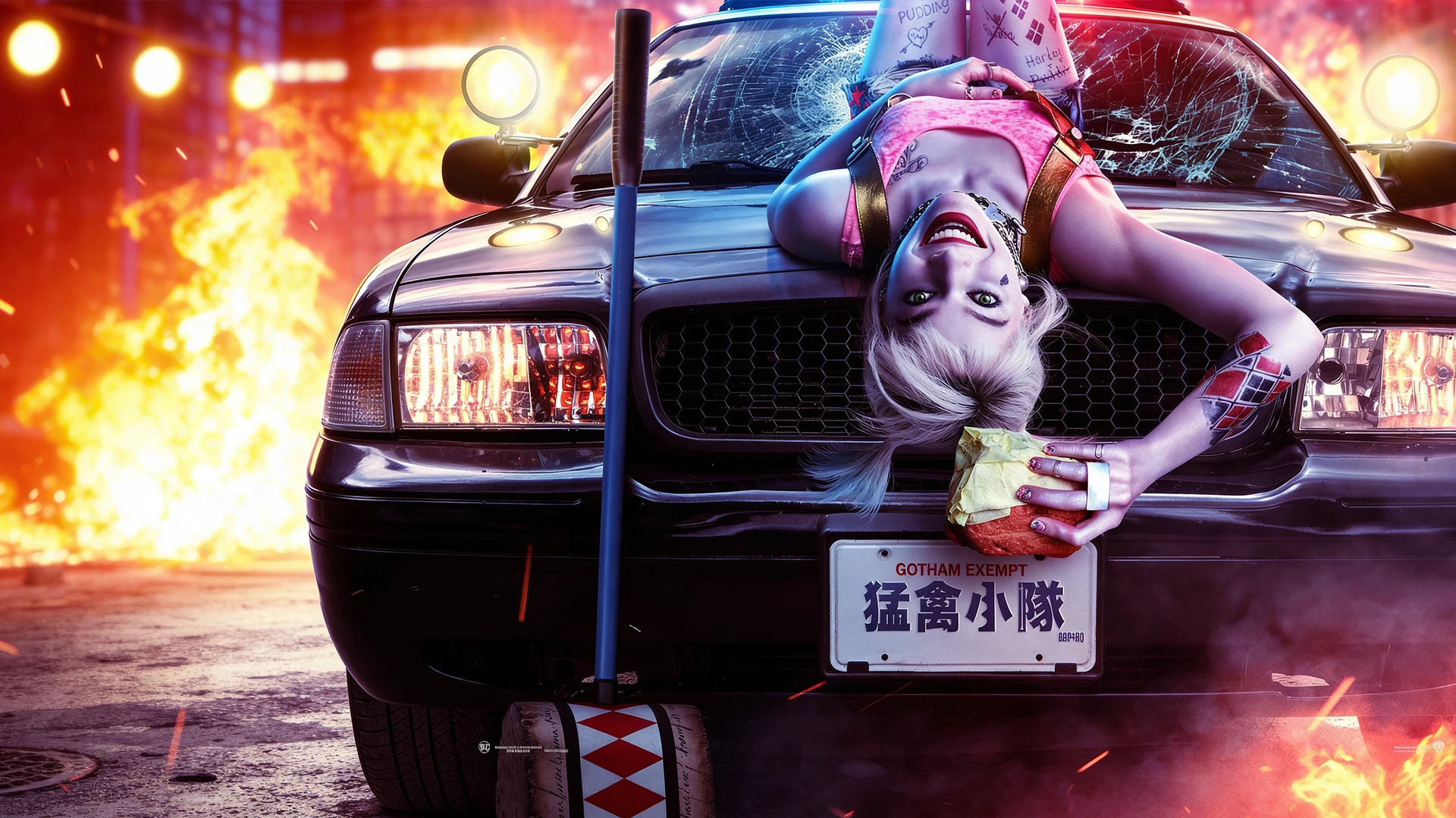 Yirtqich qushlar: Harley Quinnning ajoyib hikoyasi - gorizontal poster