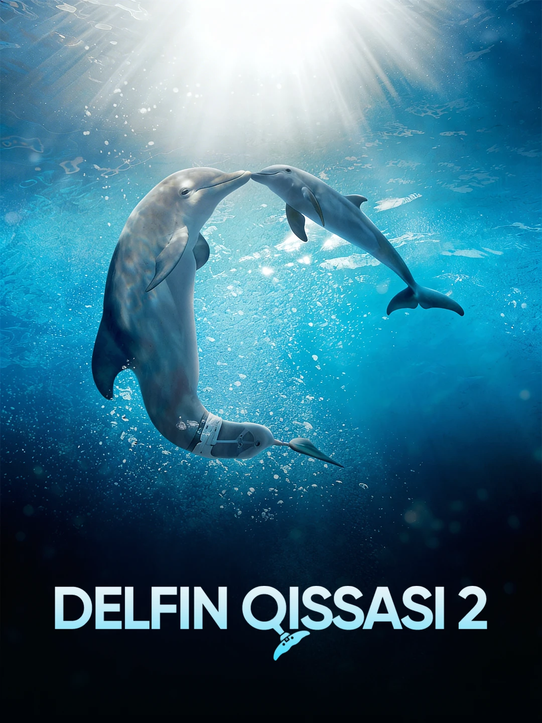 Delfin qissasi 2 poster