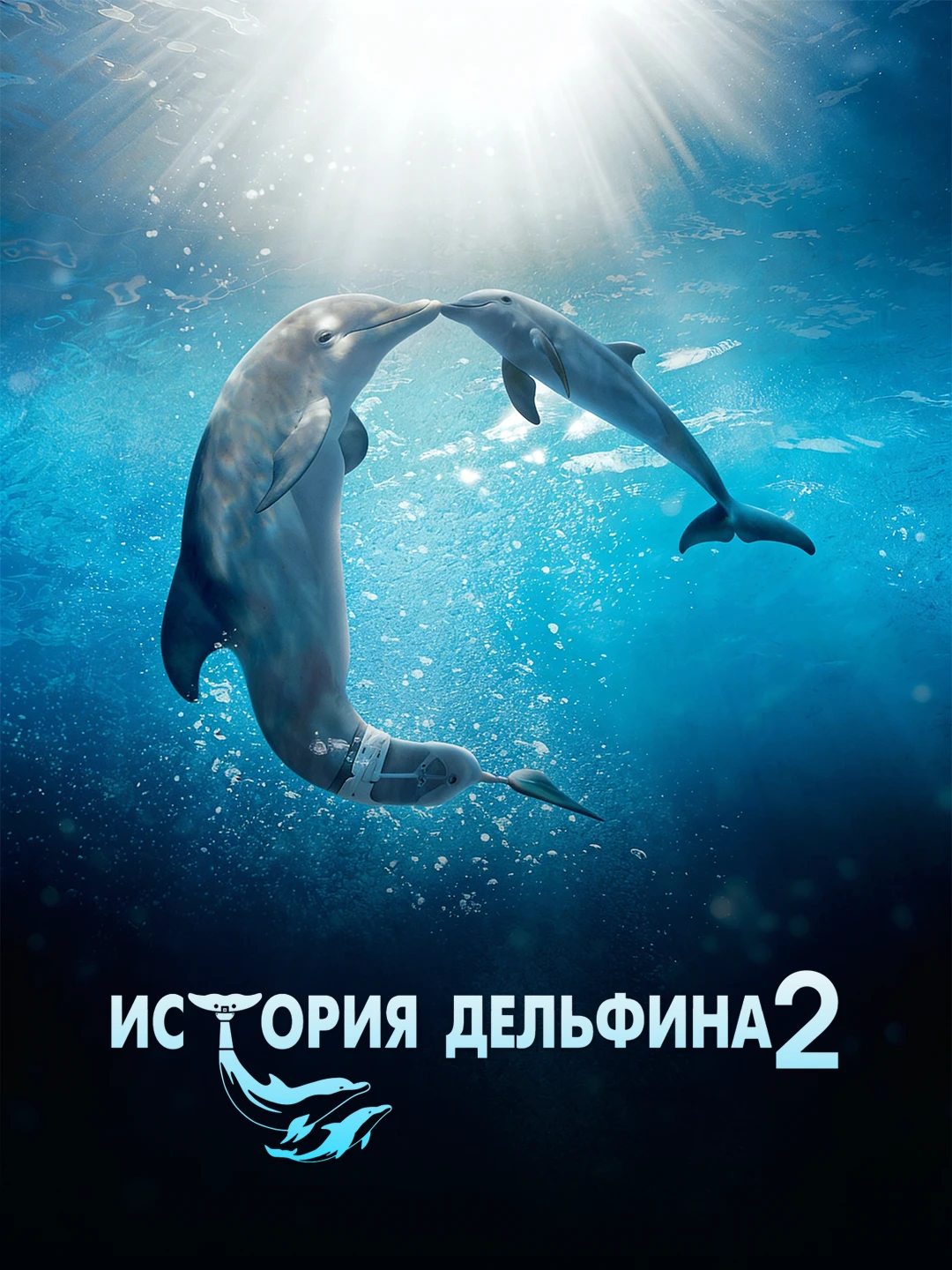 История дельфина 2 poster