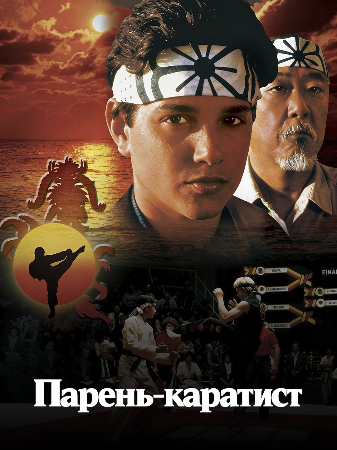 Парень каратист poster