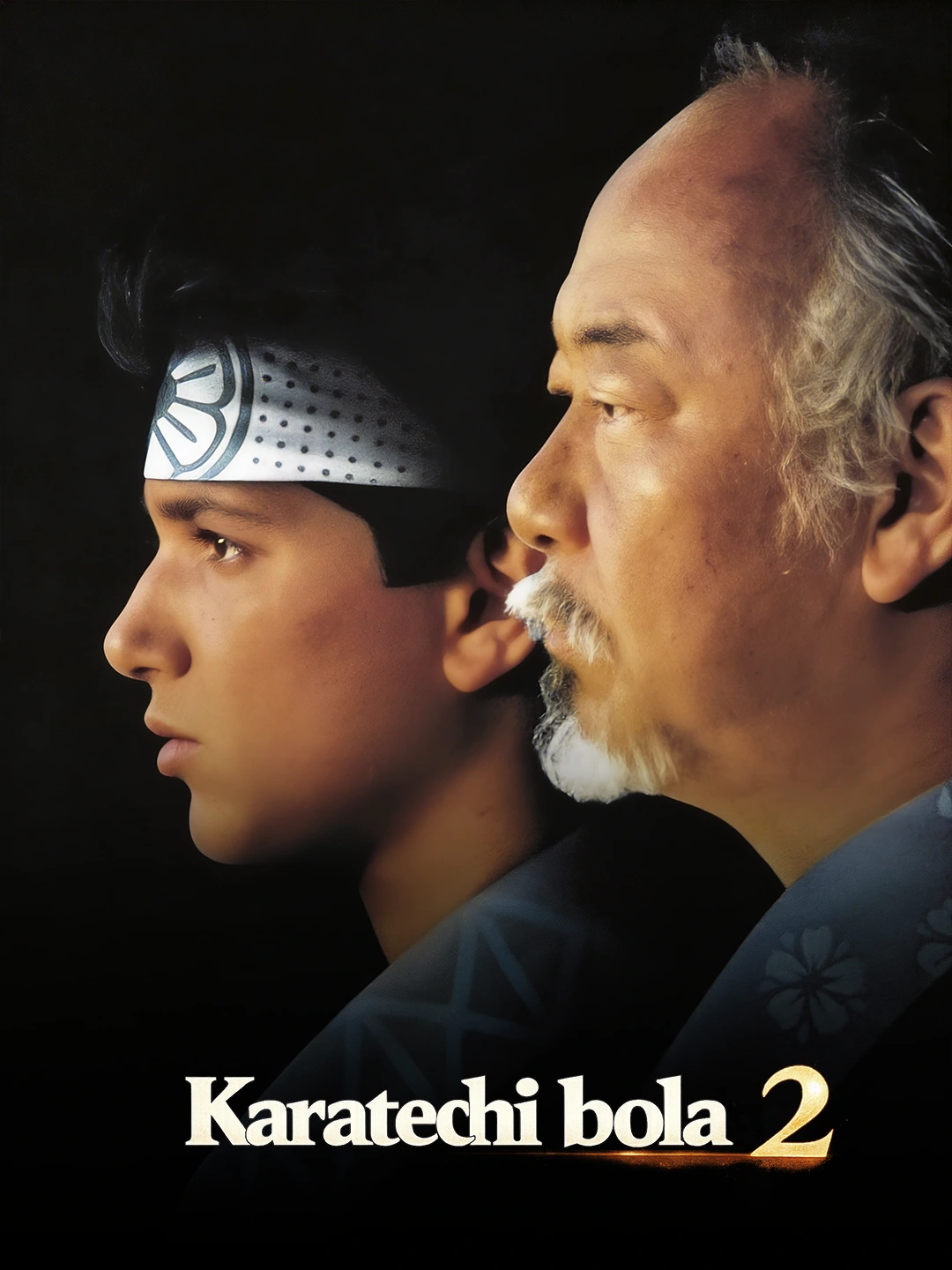 Karatechi bola 2 poster