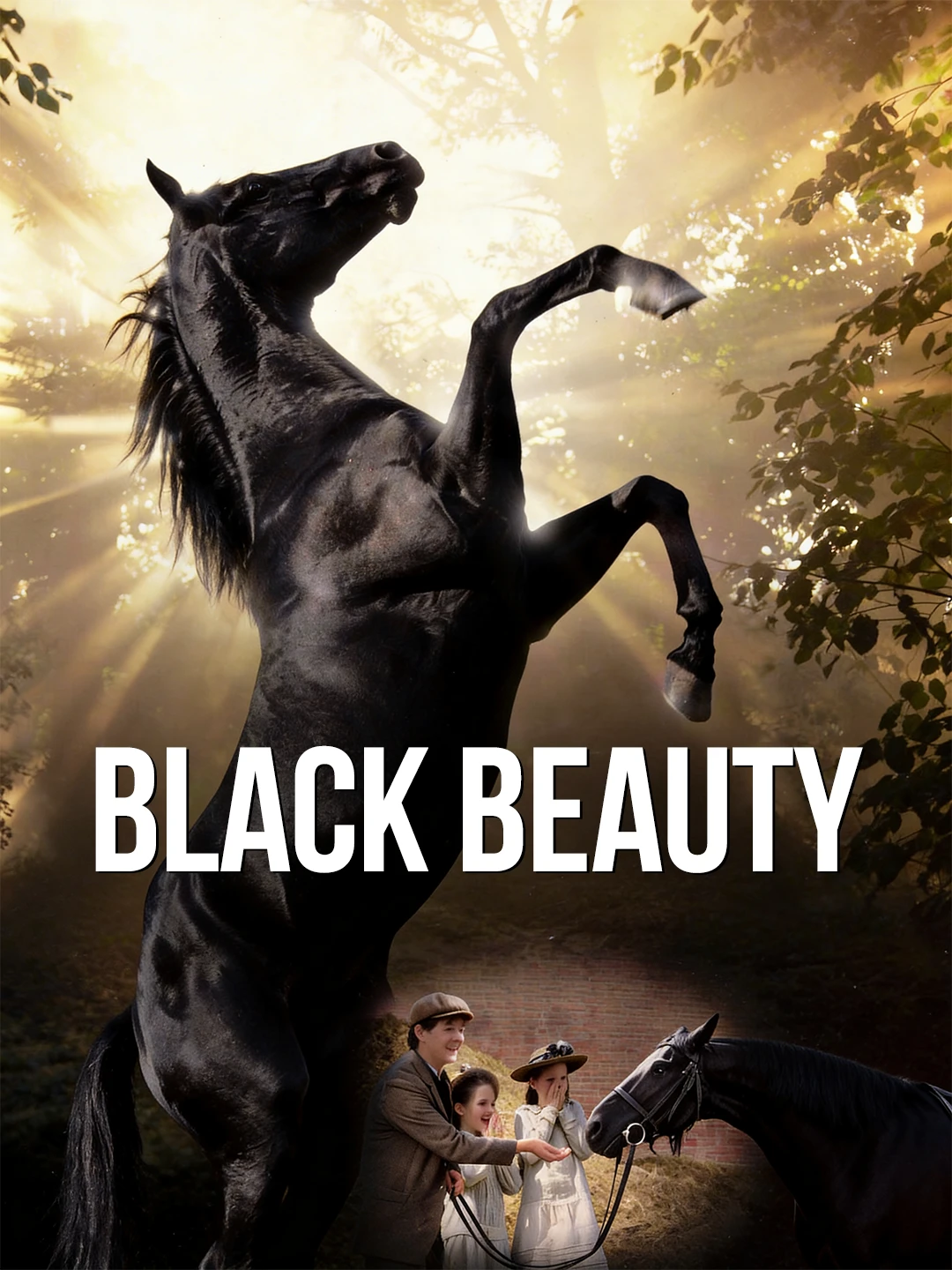 Black Beauty poster