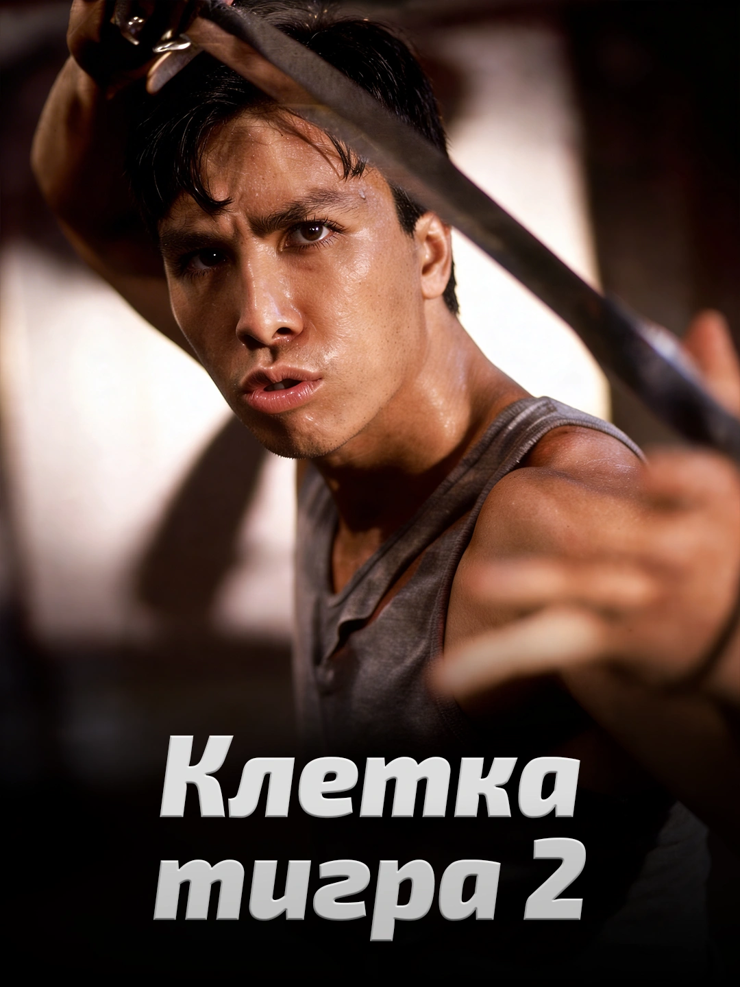 Клетка тигра 2 poster