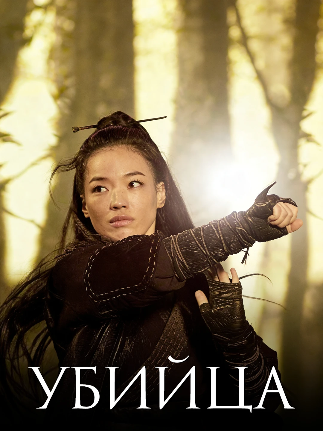 Убийца (2015) poster