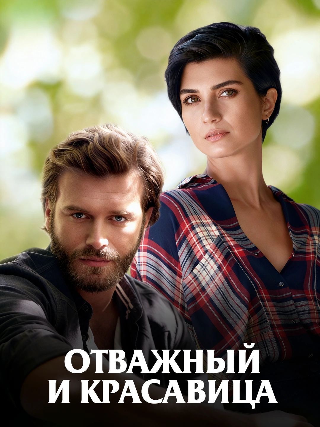 Отважный и красавица poster