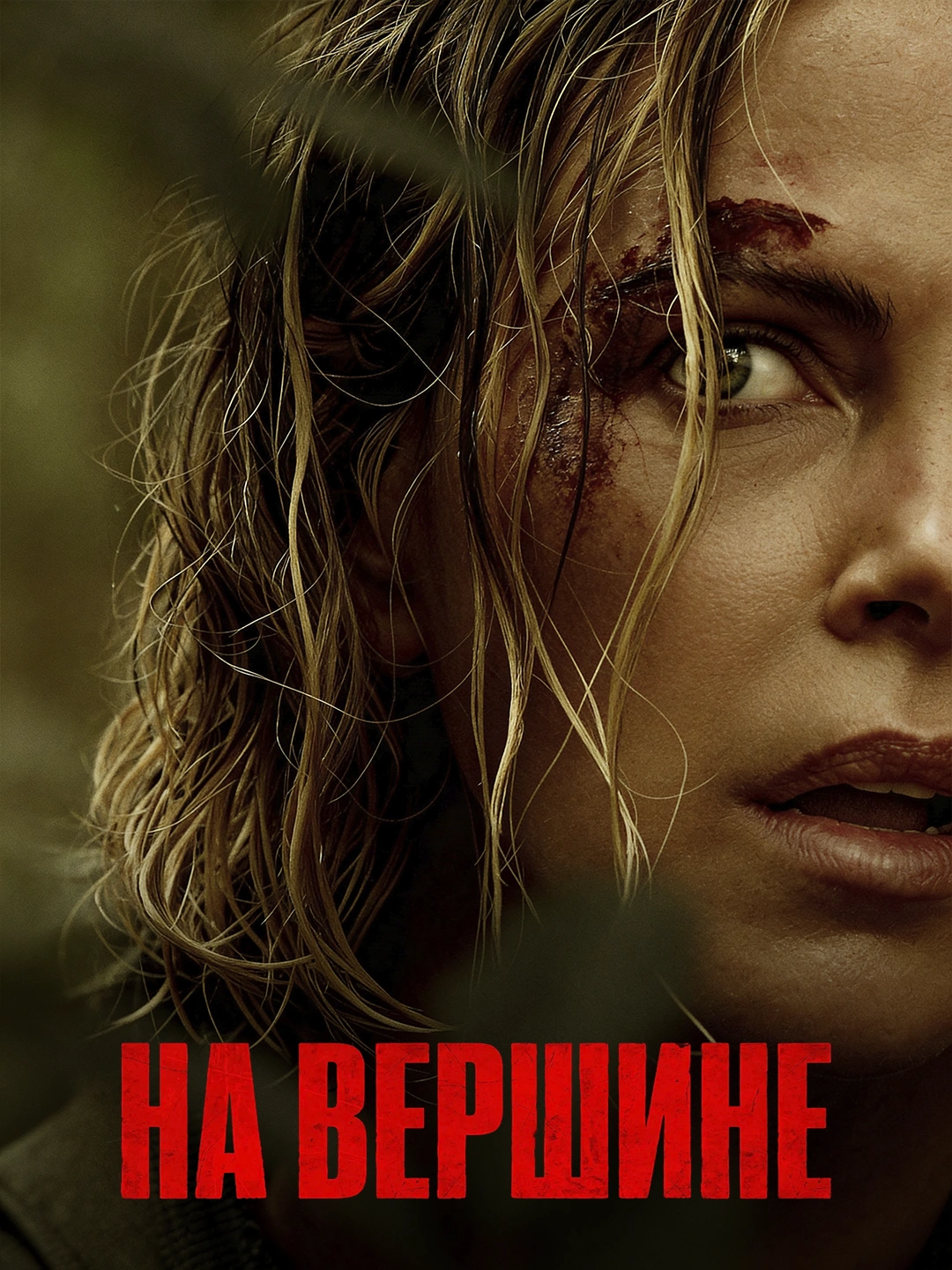 На вершине poster