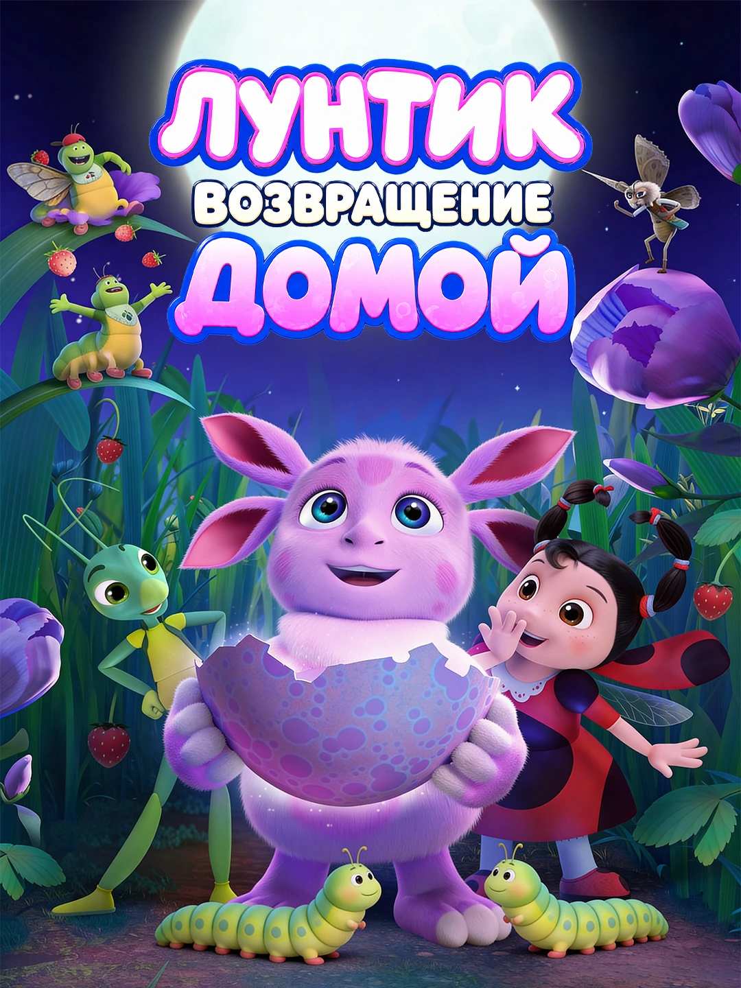 Лунтик. Возвращение домой poster