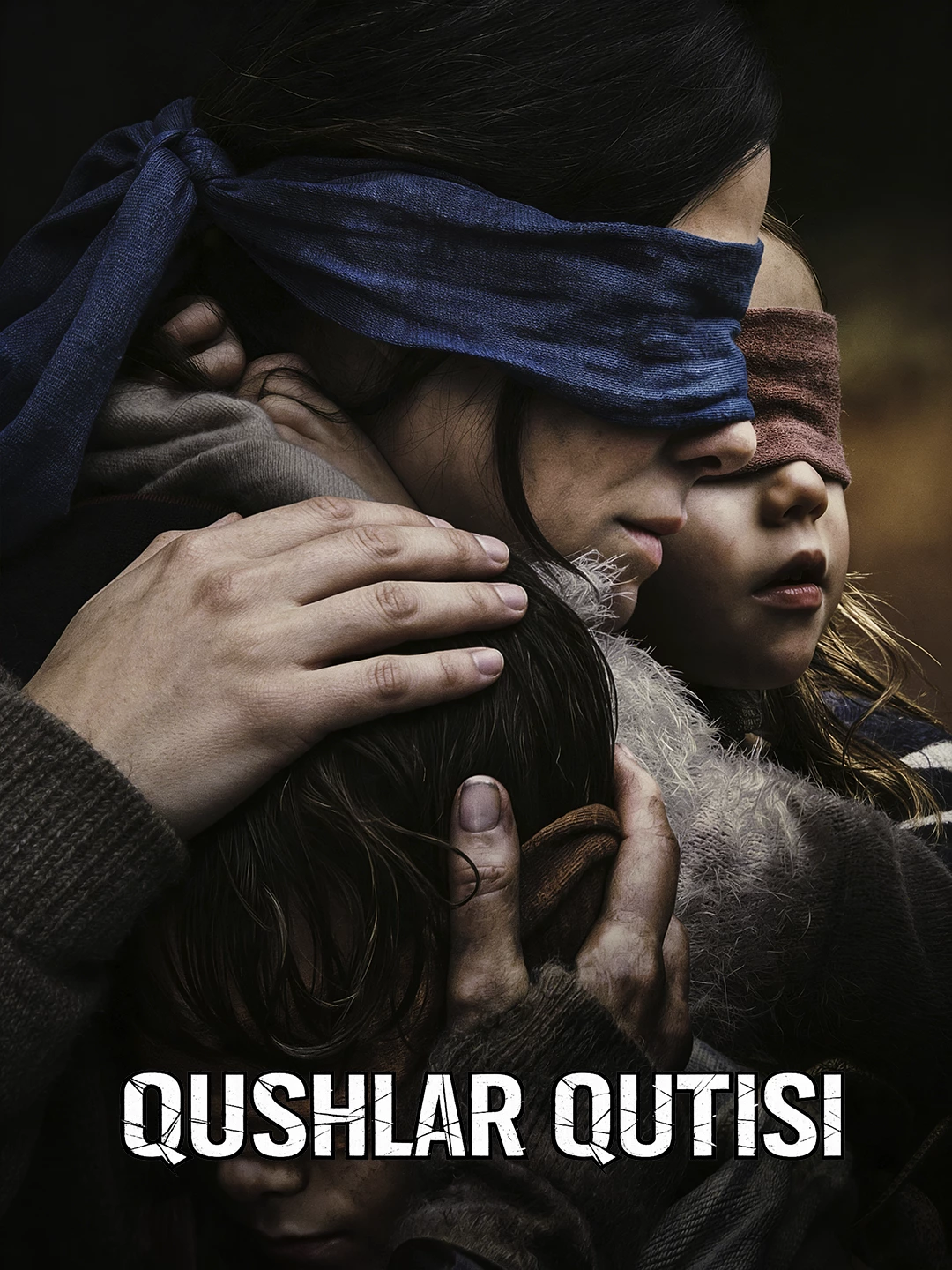 Qushlar qutisi poster
