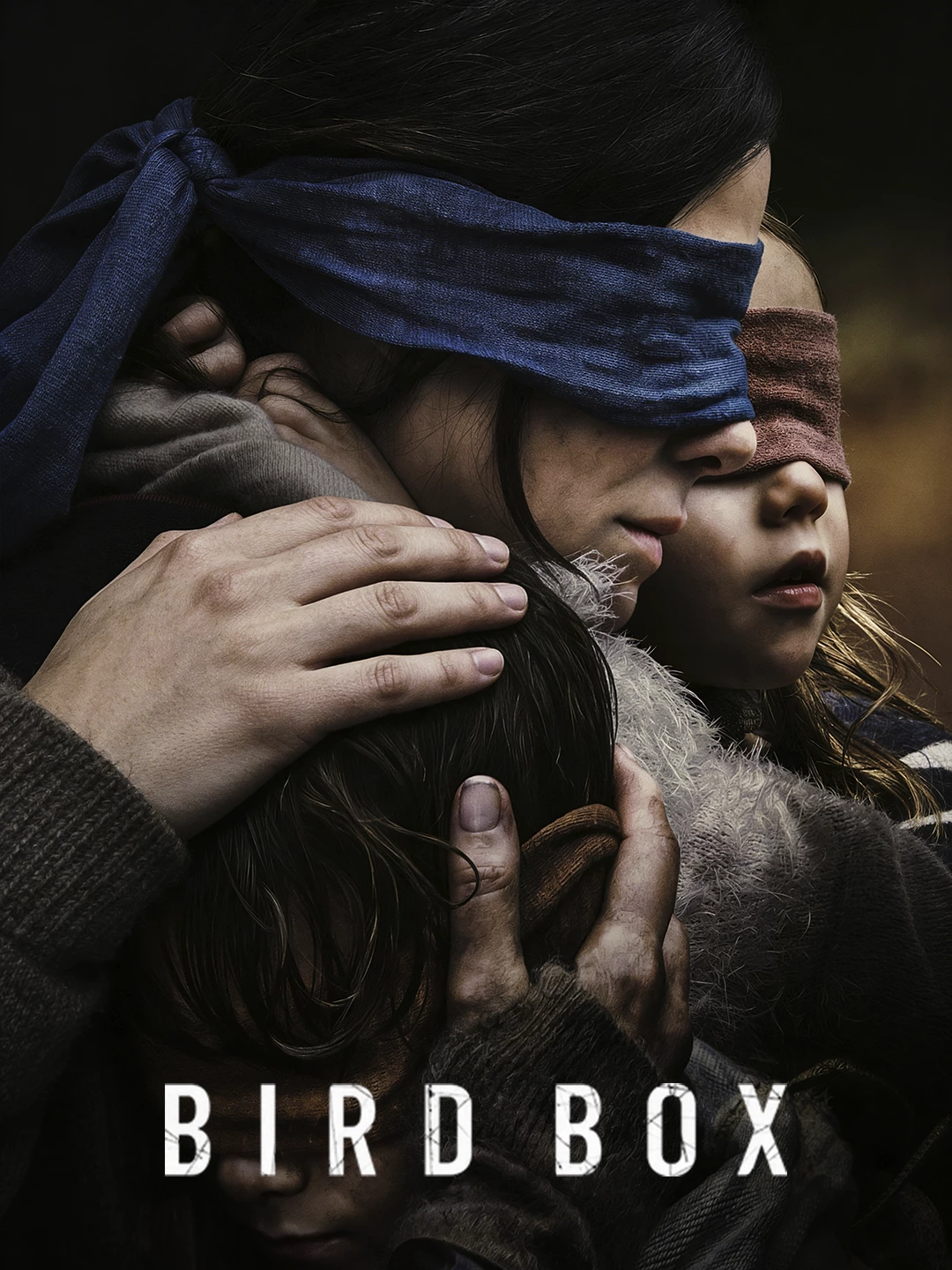 Bird Box (2018) poster