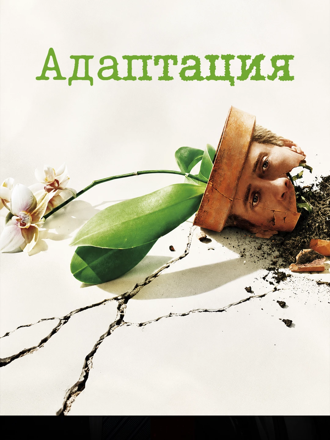 Адаптация poster