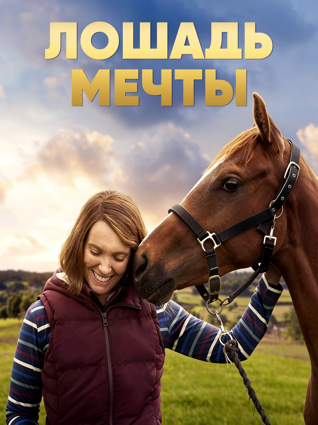 Лошадь мечты poster