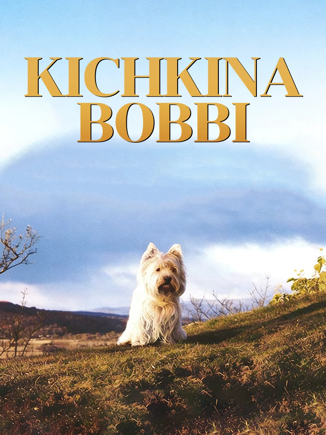Kichkina Bobbi poster