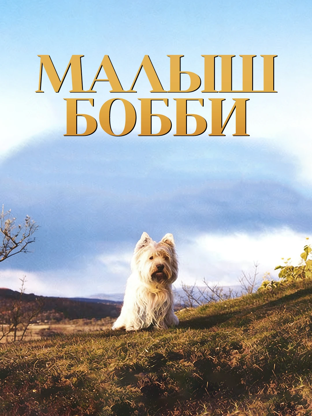 Малыш Бобби poster