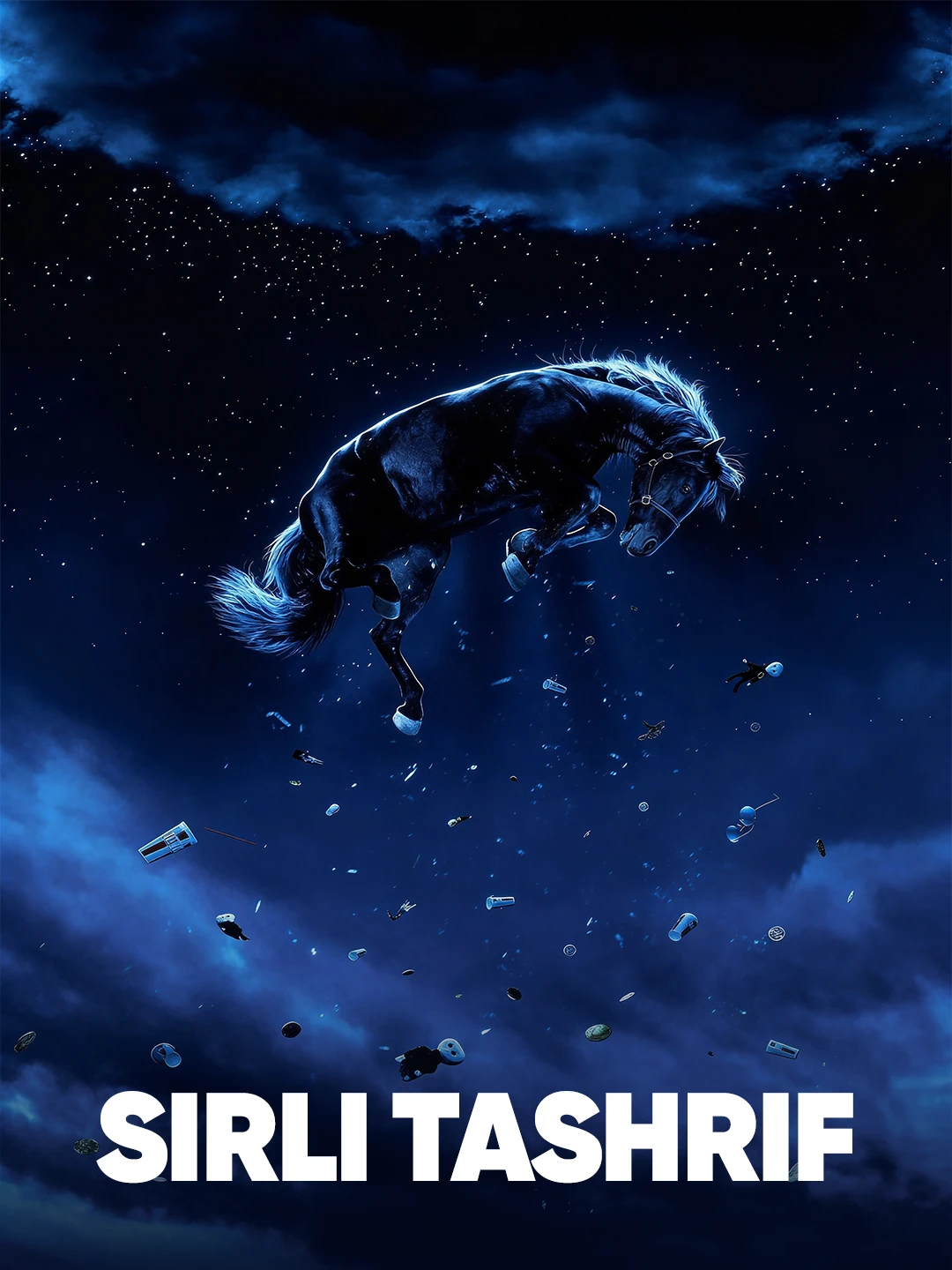 Sirli tashrif poster