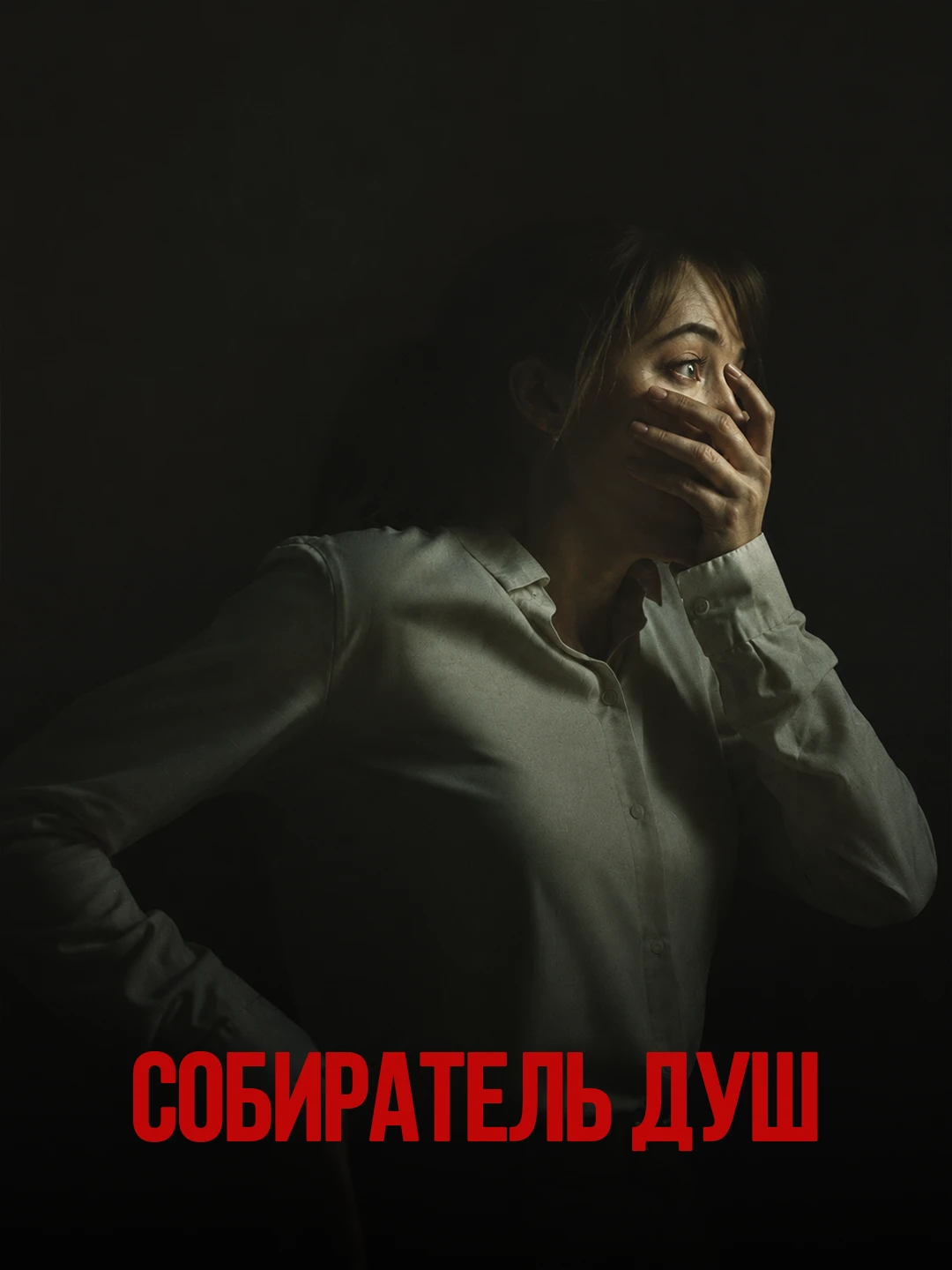 Собиратель душ poster
