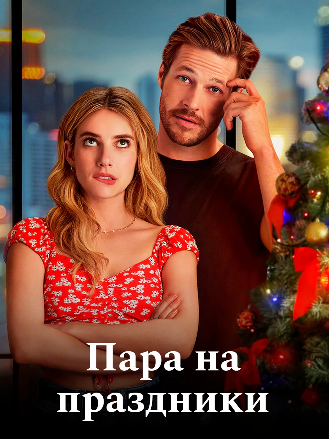 Пара на праздники poster