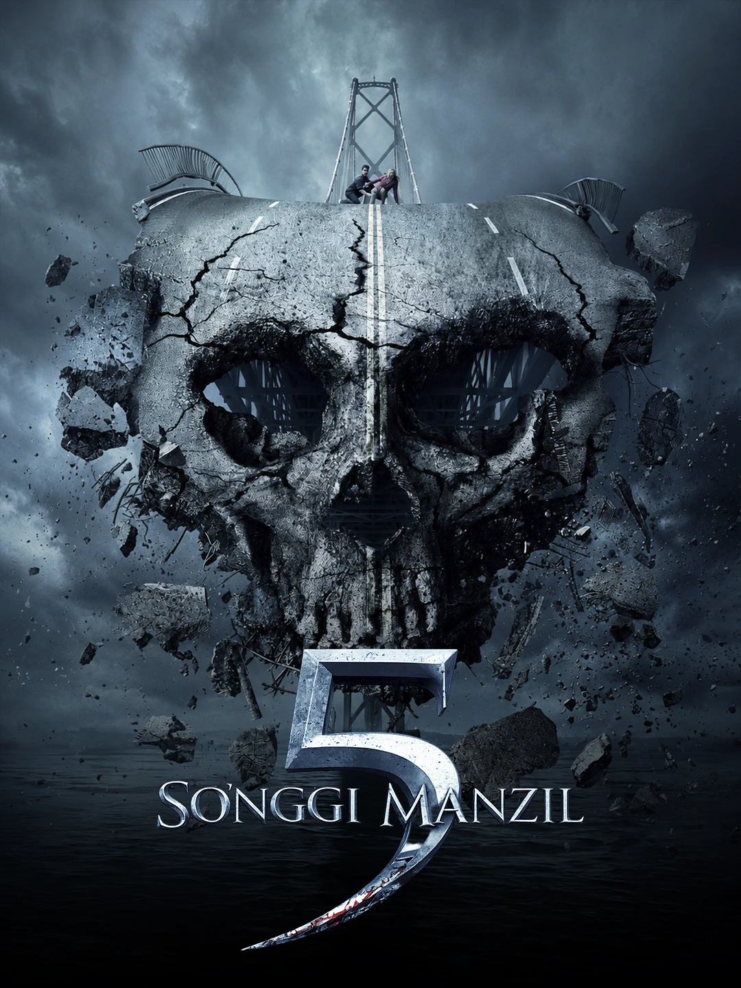 So'nggi manzil 5 poster