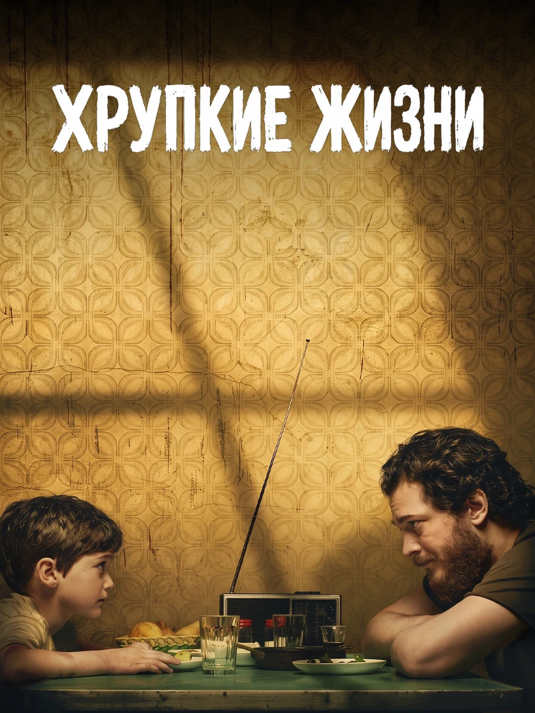Хрупкие жизни poster