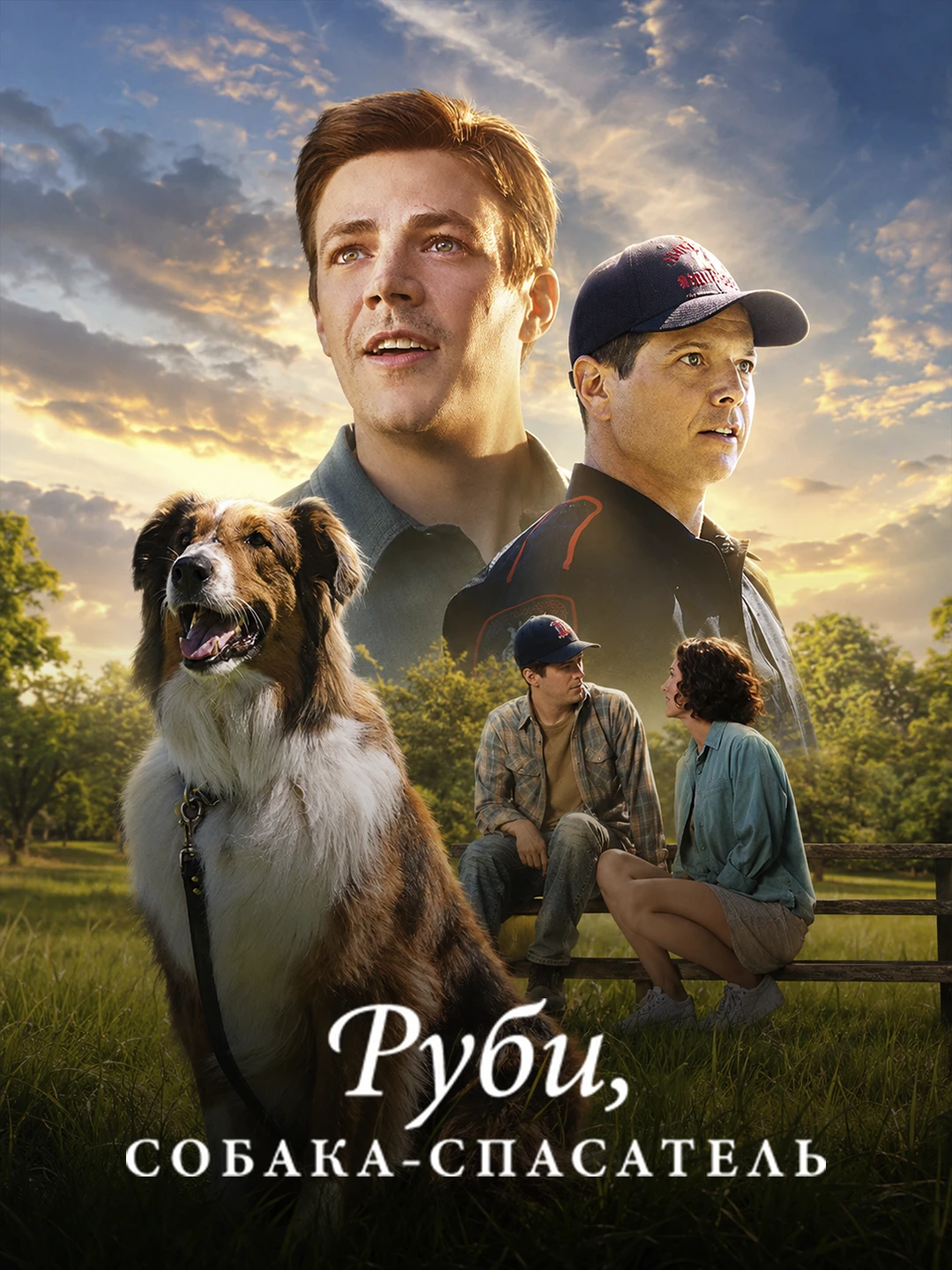 Руби, собака-спасатель poster