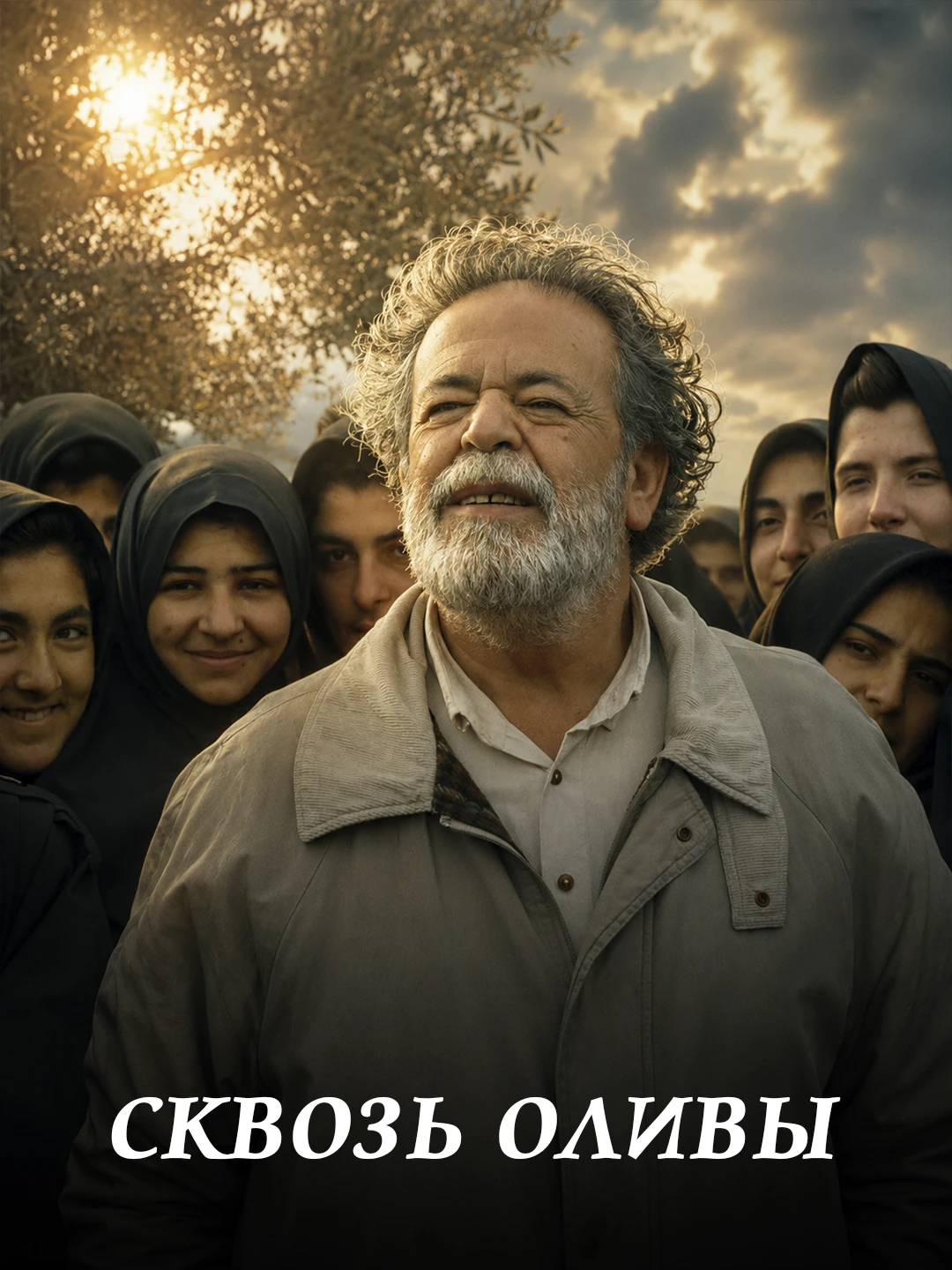 Сквозь оливковые деревья poster