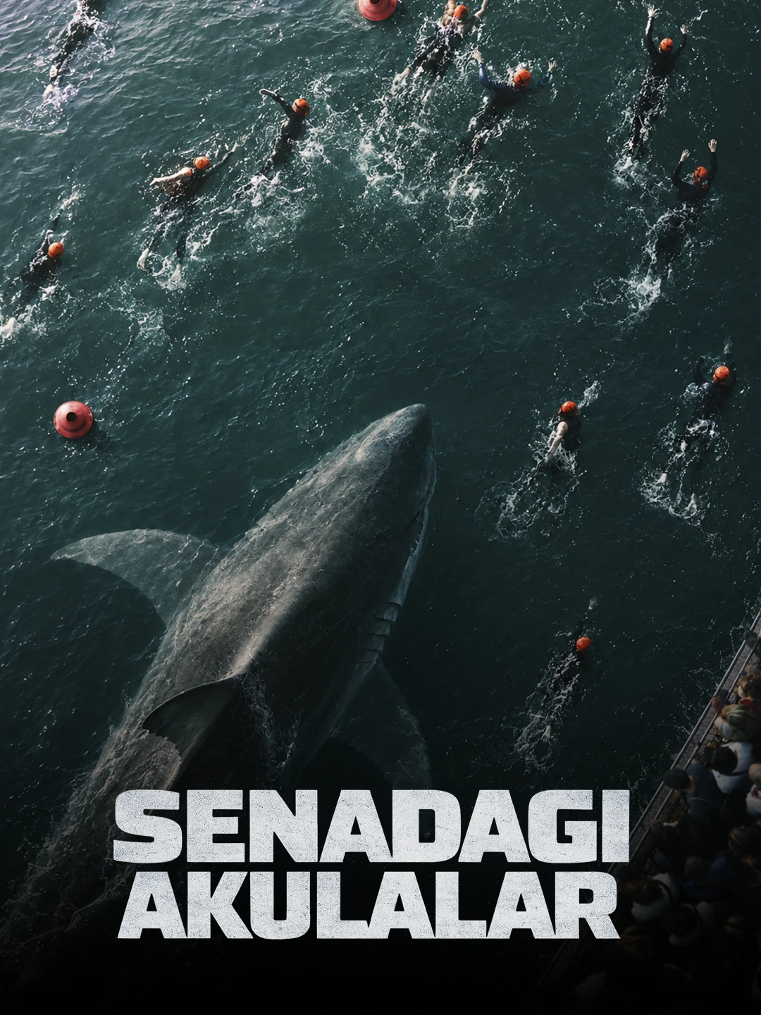 Senadagi akulalar poster