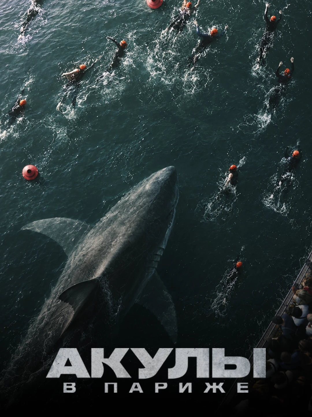 Акулы в Париже poster