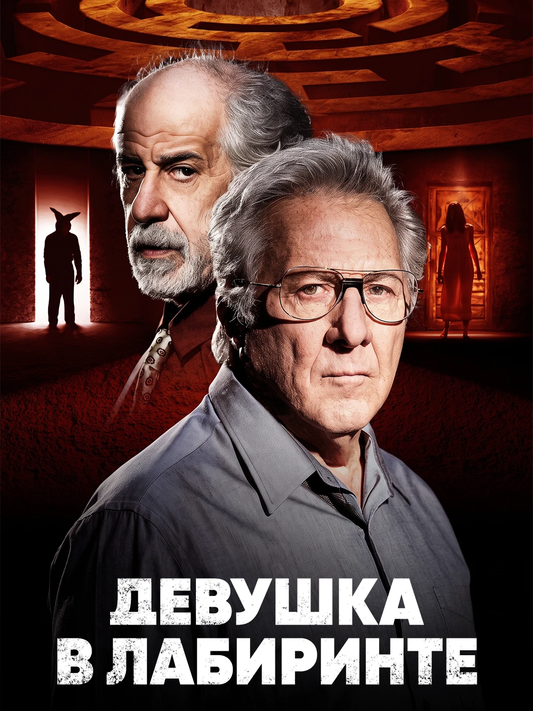 Девушка в лабиринте poster