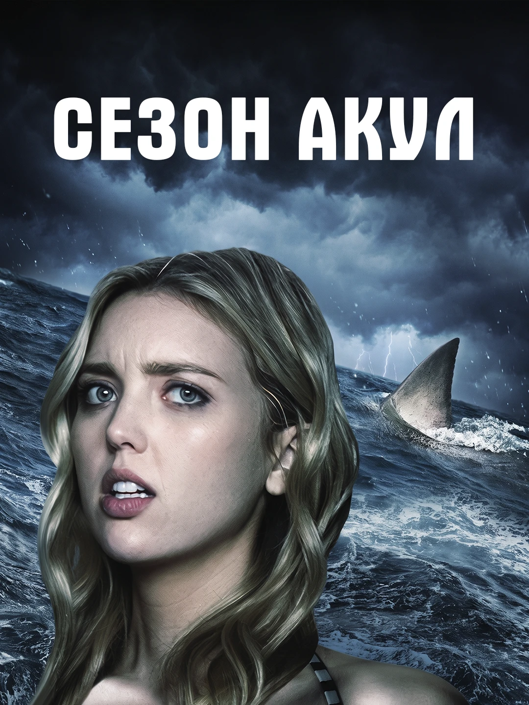 Сезон акул poster