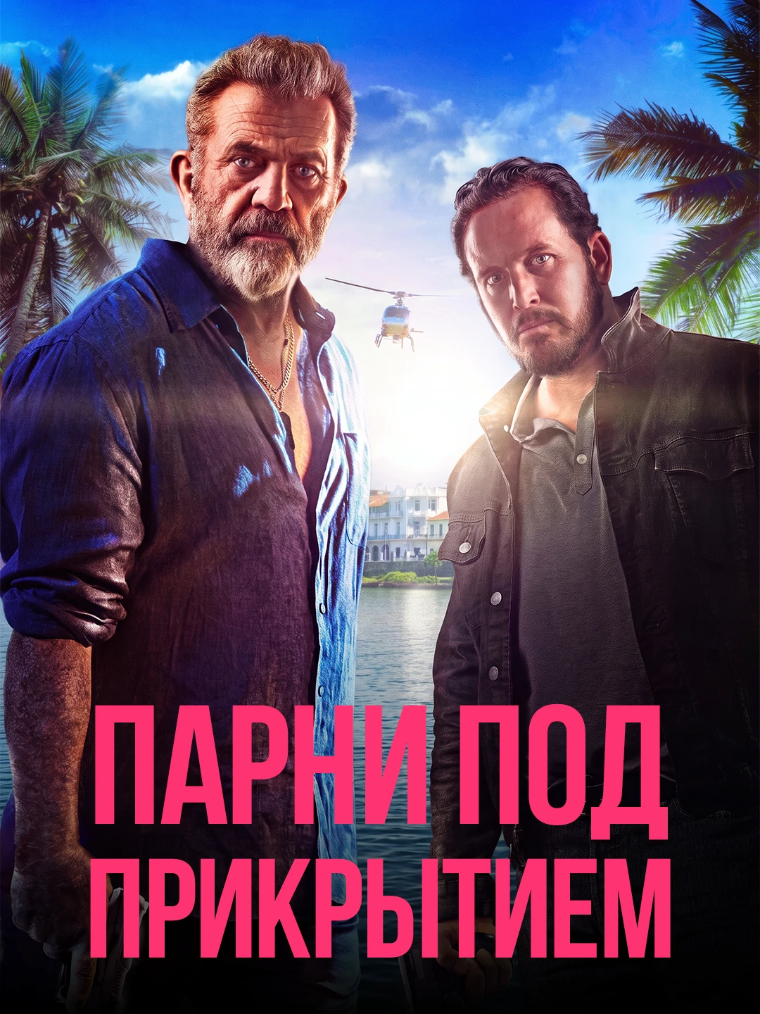 Парни под прикрытием poster
