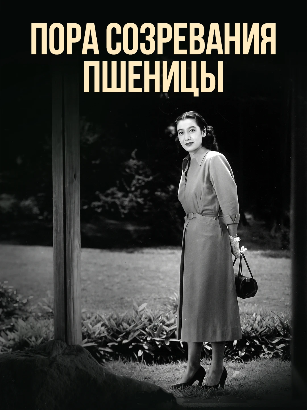 Пора созревания пшеницы poster