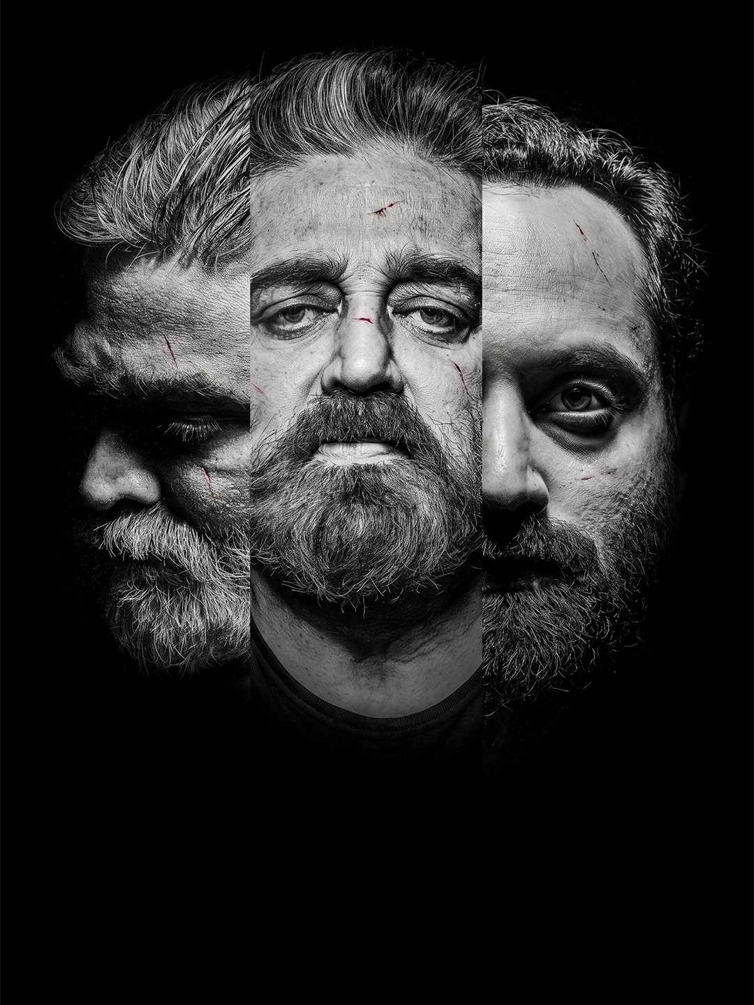Vikram - vertikal poster